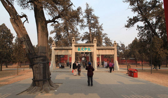 太和元?dú)夥? alt=